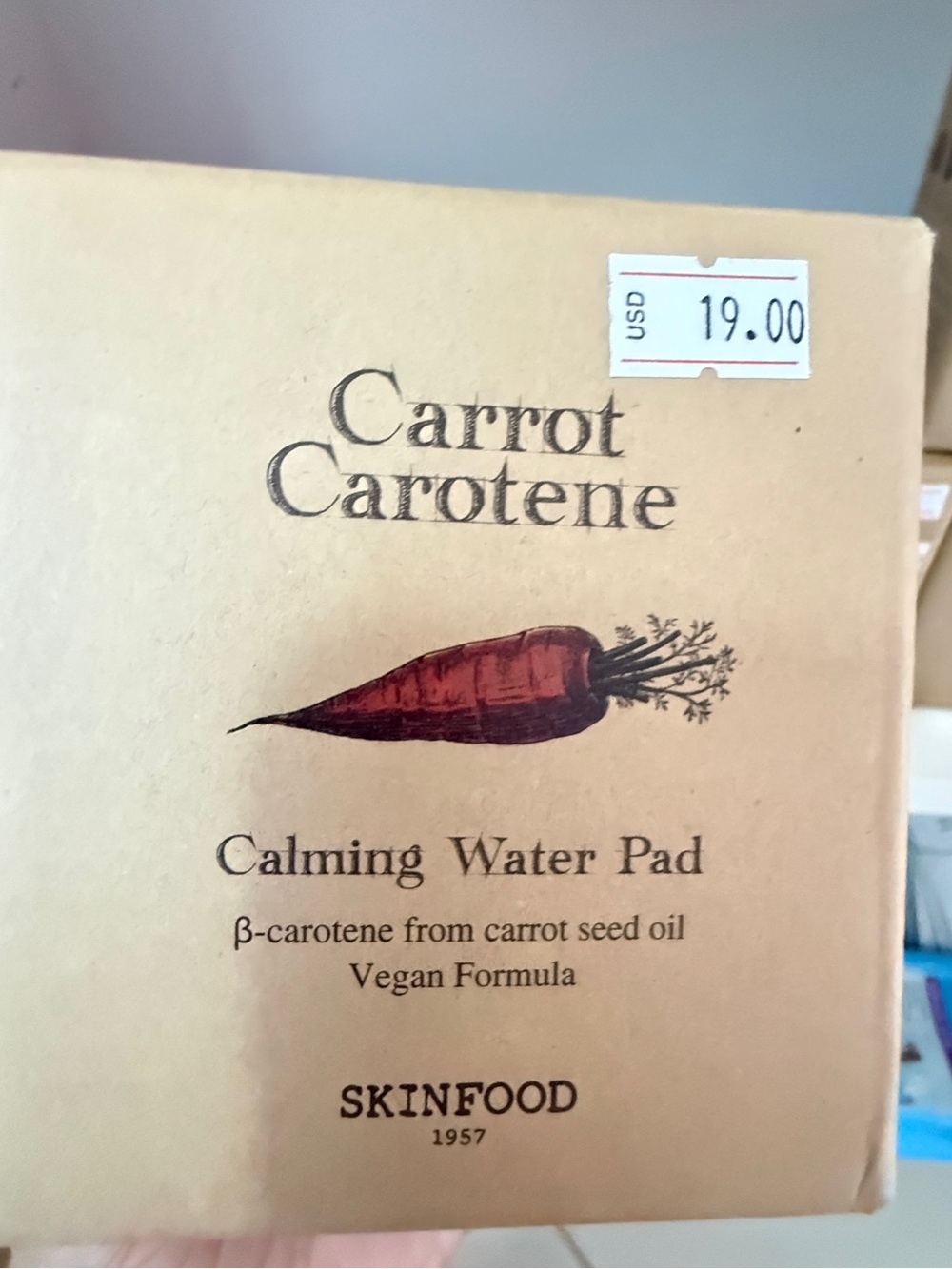 SKINFOOD Carrot Calming Water Pad - Brown